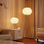 Nordic Feather Crystal Tripod Floor Lamp