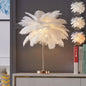 Ostrich feather lamp
KSh