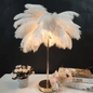 Natural Ostrich Feather Table Lamp with Plug in Wire, Modern Feather Bedside Lamp for Bedroom Nightstand Lamp Desk Night Light (White)